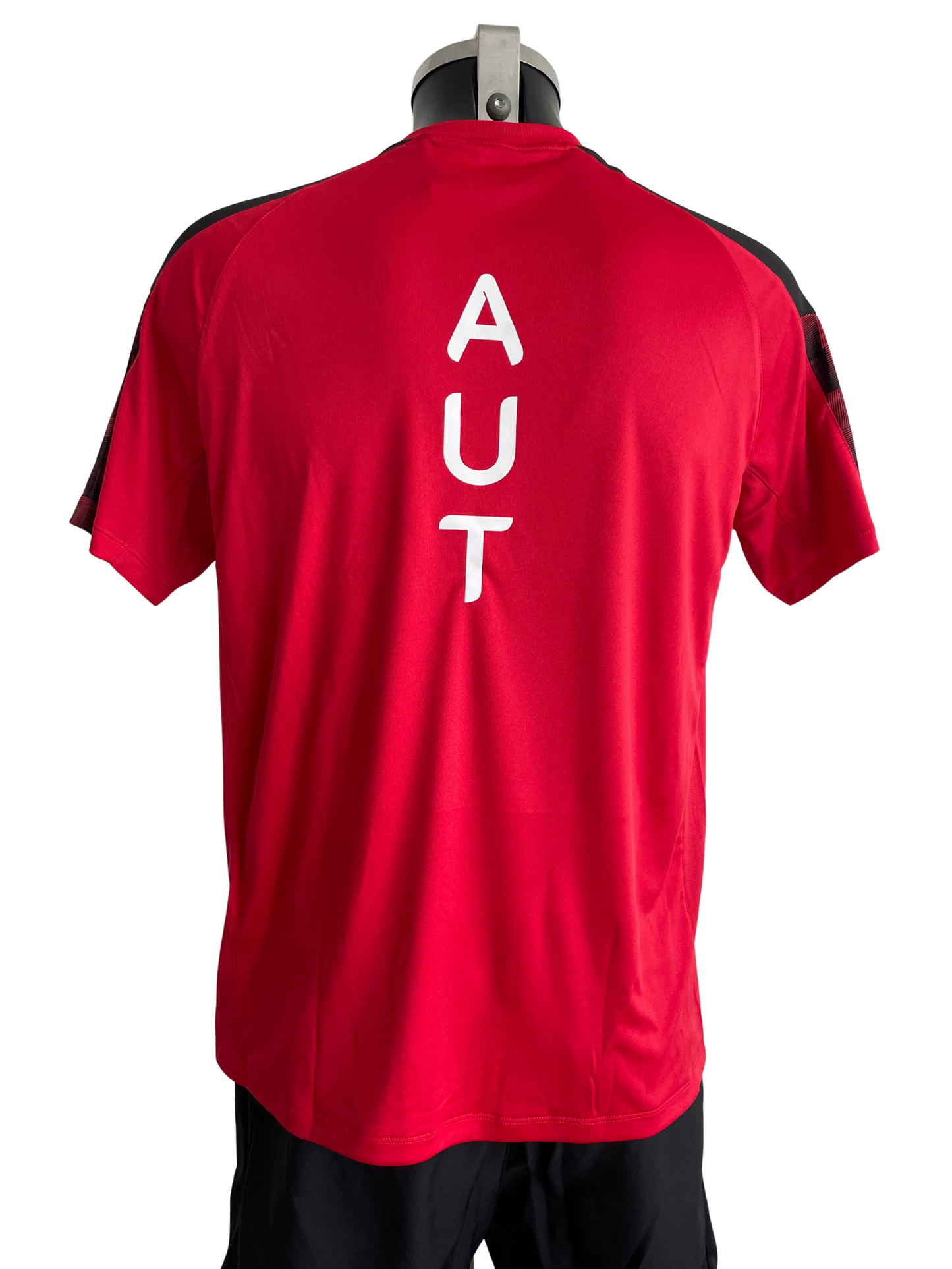 ERIMA T-Shirt Herren Team Austria